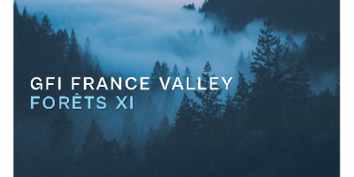 GFI FRANCE VALLEY FORÊTS XI