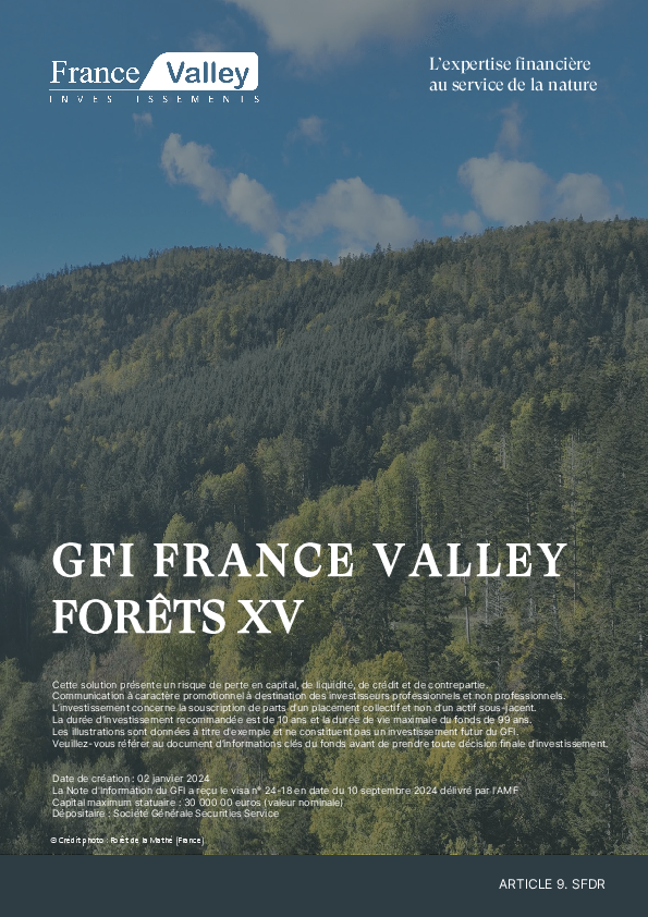 GFI France Valley Forêts XV (983399445)