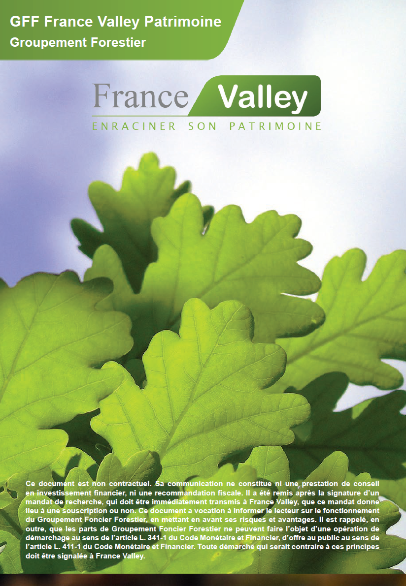 GFF France Valley - Patrimoine IX (GFV0050)
