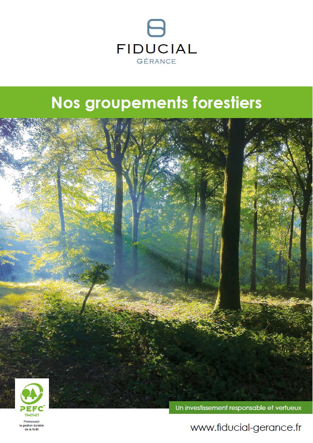 GF des Douze Forêts (GFV0053)