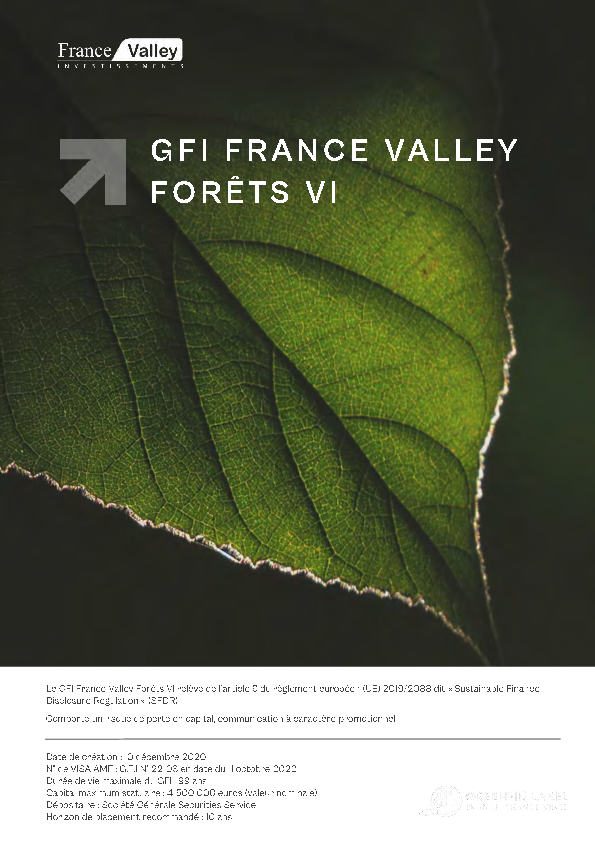 GFI France Valley - Forêts VI (PRODFI2454)